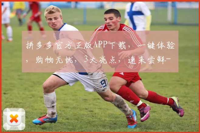 拼多多官方正版APP下载，一键体验，购物无忧，3大亮点，速来尝鲜